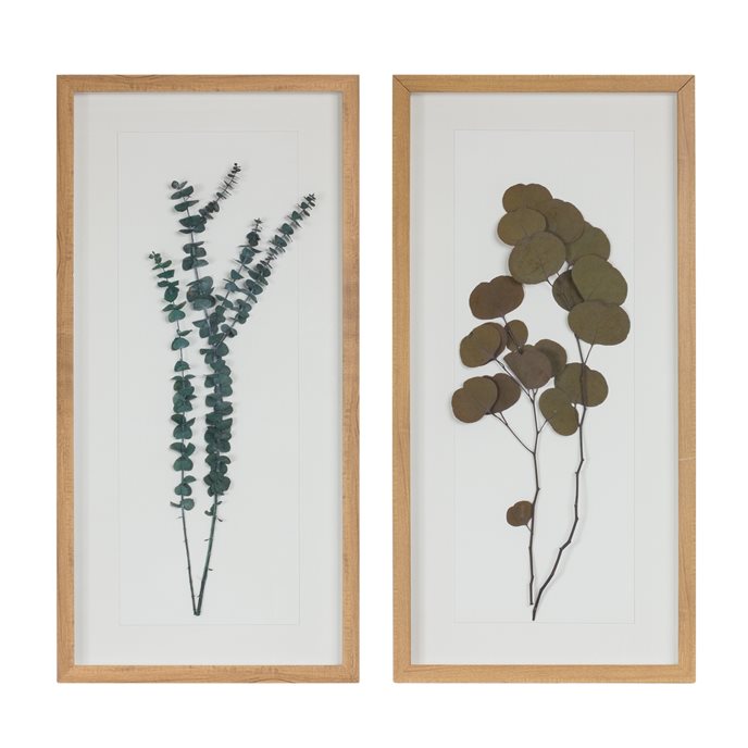 Dried Eucalyptus Frame (Set of 2) Thumbnail