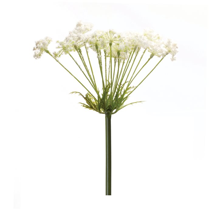 Queen Anne's Lace Stem (Set of 2) Thumbnail