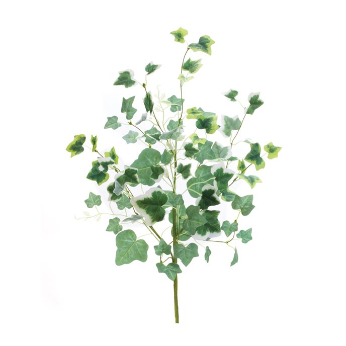 Mixed Ivy Foliage Bush (Set of 2) Thumbnail