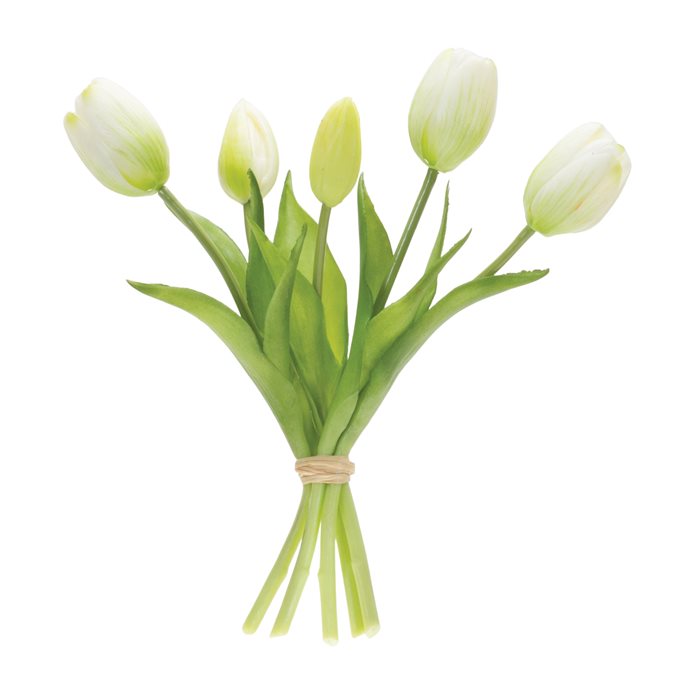 Tulip Floral Bundle (Set of 2) Thumbnail