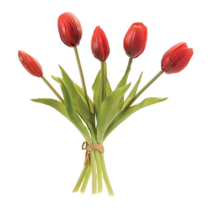 Tulip Floral Bundle (Set of 2) Thumbnail