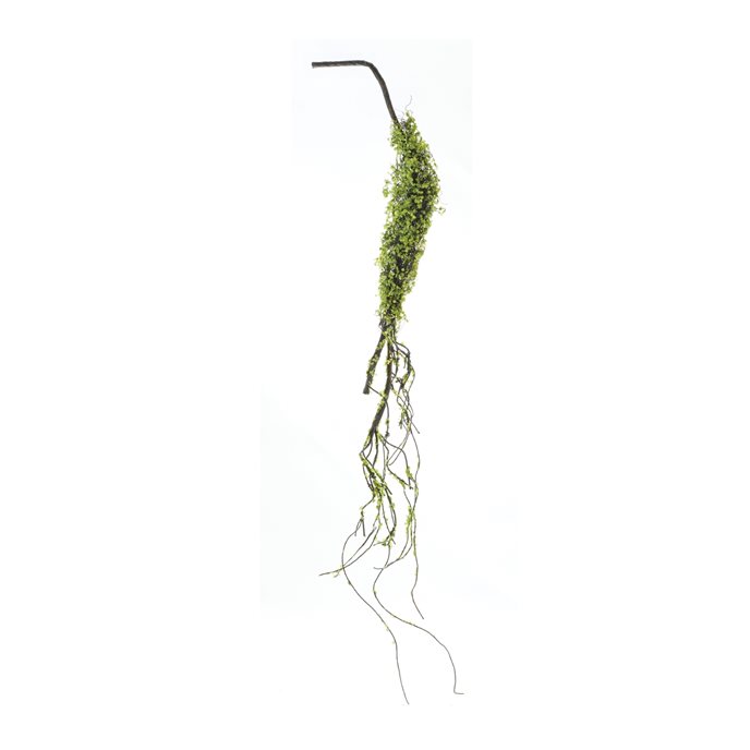 Moss Foliage Vine Branch (Set of 2) Thumbnail