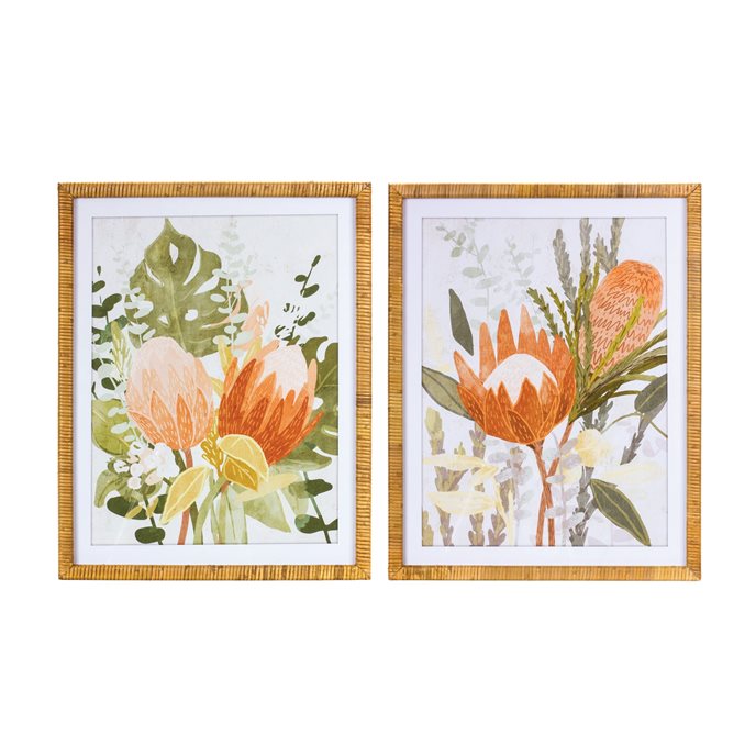 Framed Protea Floral Wall Art (Set of 2) Thumbnail