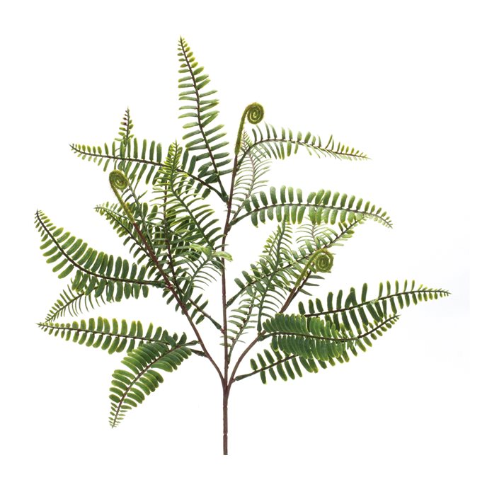 Fern Spray (Set of 6) Thumbnail