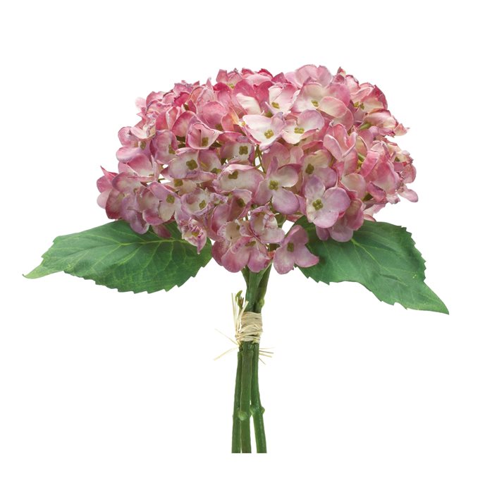 Hydrangea Bundle (Set of 6) Thumbnail