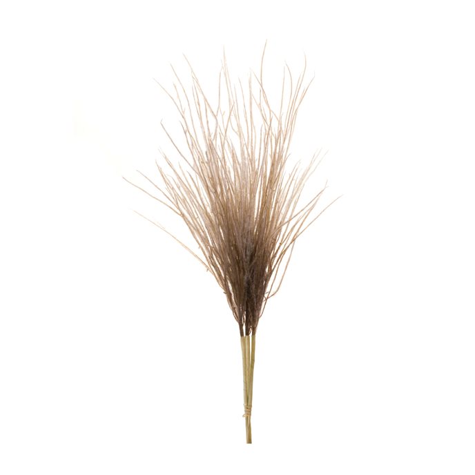 Grass Plume Bundle (Set of 2) Thumbnail