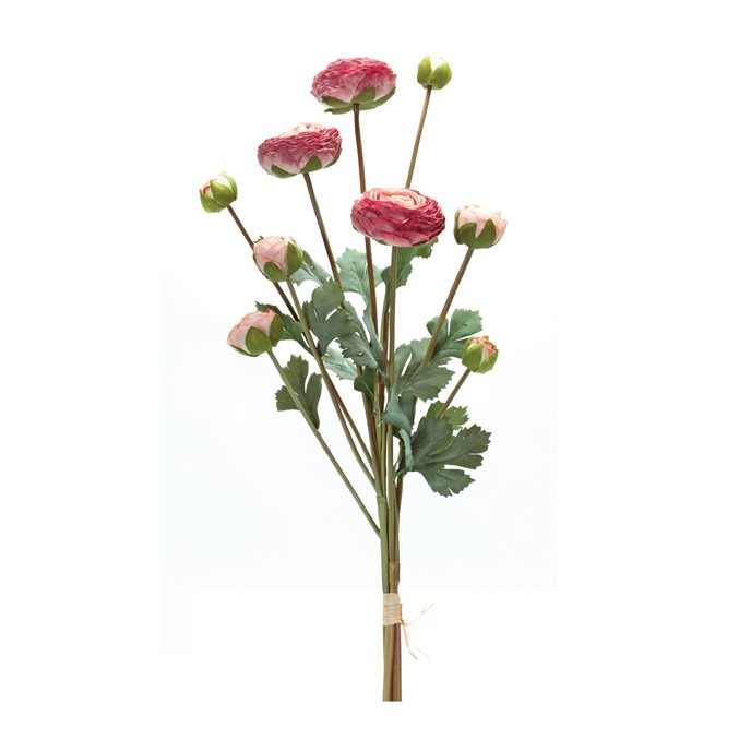 Ranunculus Bundle (Set of 2) Thumbnail