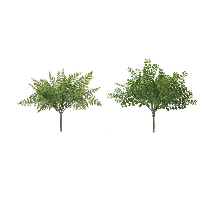 Fern Bush (Set of 12) Thumbnail