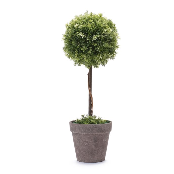 Potted Topiary Tree 17.5"H Thumbnail