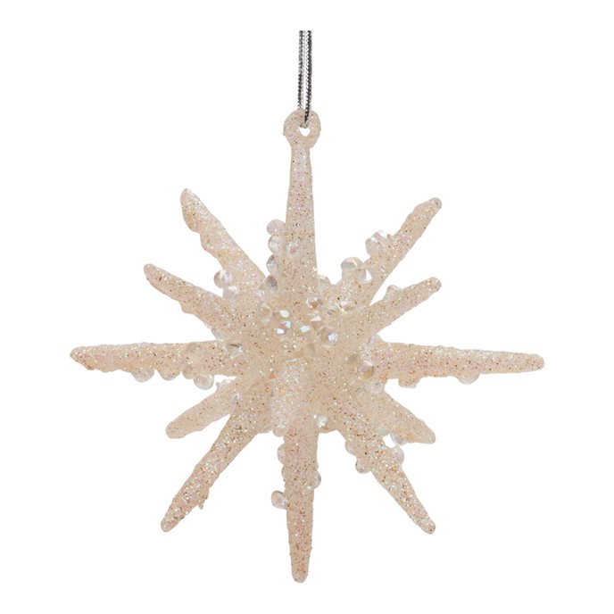 Frosted Glass Star Ornament (Set of 6) Thumbnail