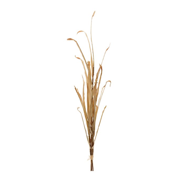 Tall Harvest Grass Stem (Set of 2) Thumbnail