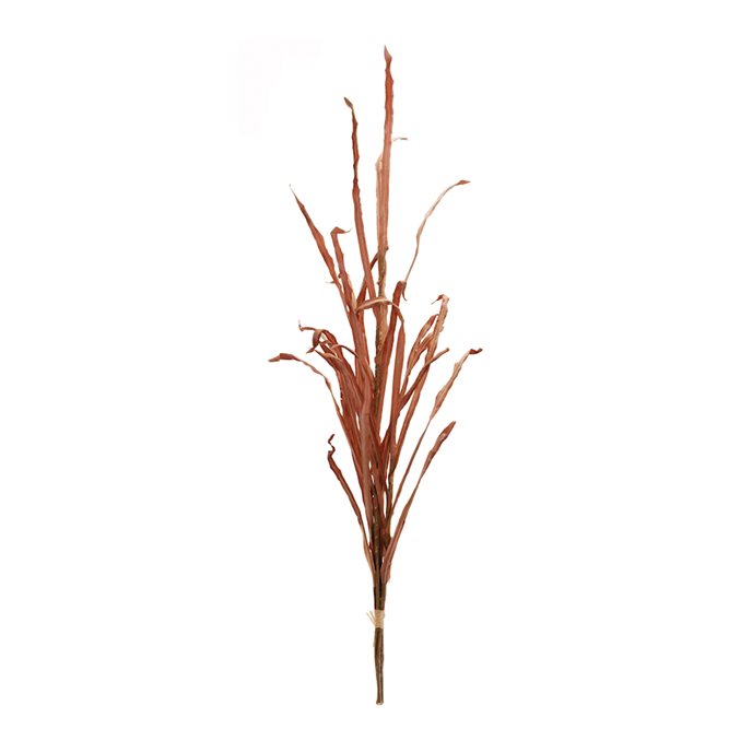 Tall Harvest Grass Stem (Set of 2) Thumbnail