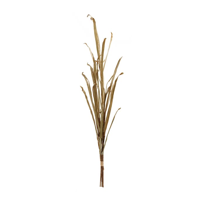 Tall Harvest Grass Stem (Set of 2) Thumbnail