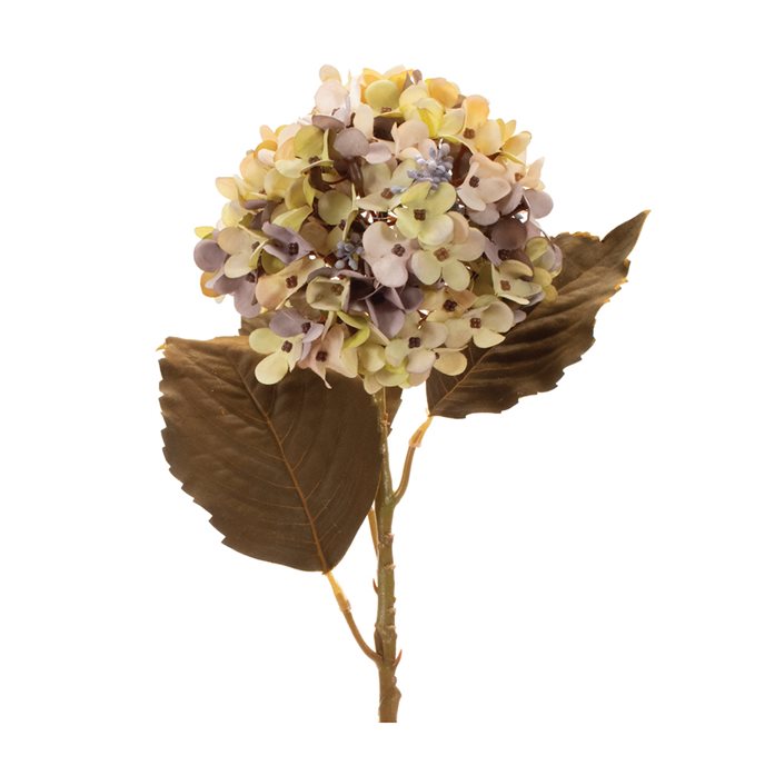 Beige Harvest Hydrangea Stem (Set of 6) Thumbnail