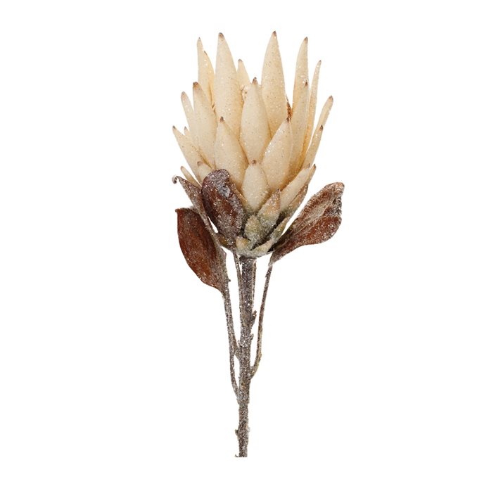 Beige Protea Flower Stem (Set of 2) Thumbnail