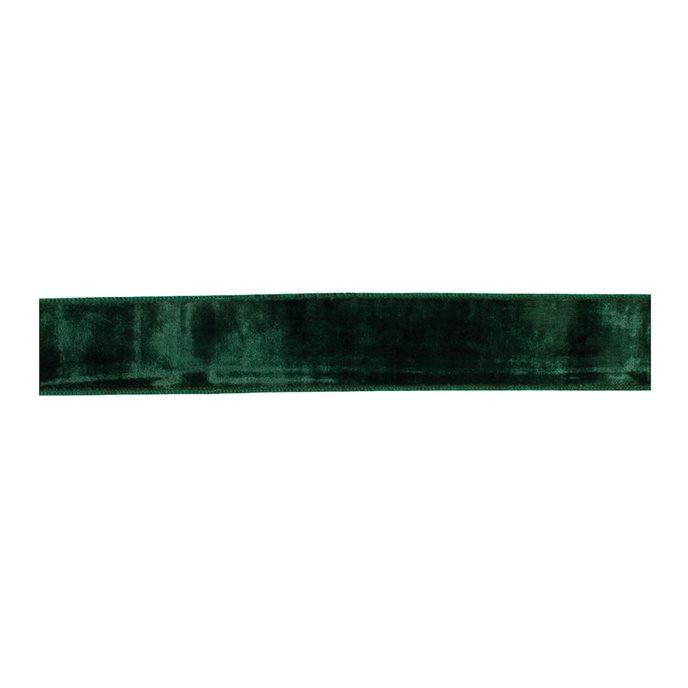 Deep Green Viscose Wired Ribbon (Set of 2) Thumbnail