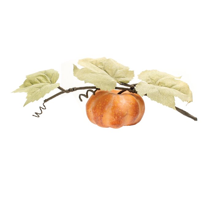 Fall Pumpkin Vine (Set of 2) Thumbnail