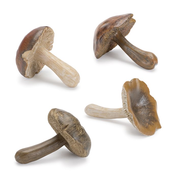 Stone Mushroom Shelf Sitter (Set of 12) Thumbnail