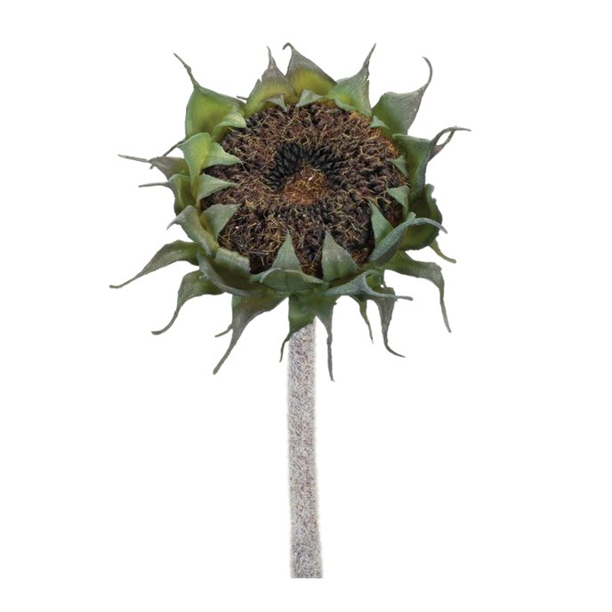 Brown Sunflower Stem (Set of 6) Thumbnail