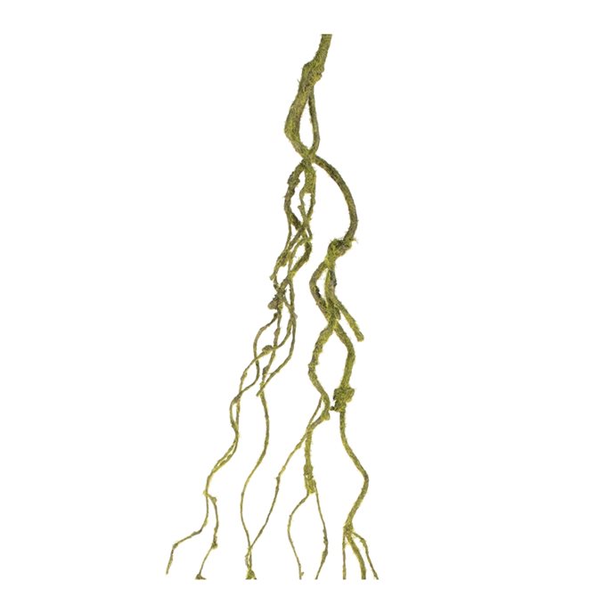 Mossy Twig Vine (Set of 6) Thumbnail