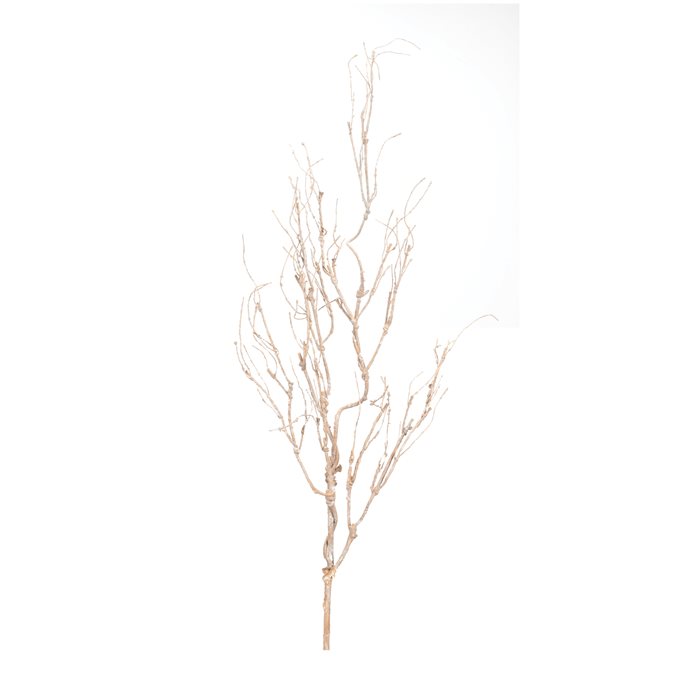 Beige Twig Branch (Set of 6) Thumbnail