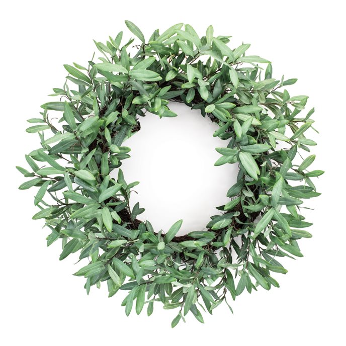 Olive Leaf Foliage Wreath 29"D Thumbnail