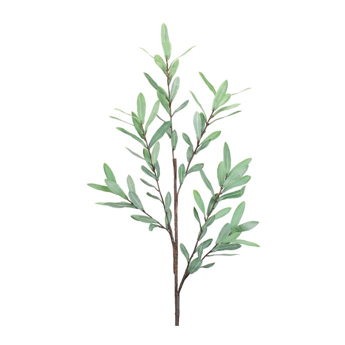 Olive Leaf Twig Branch (Set of 2) Thumbnail