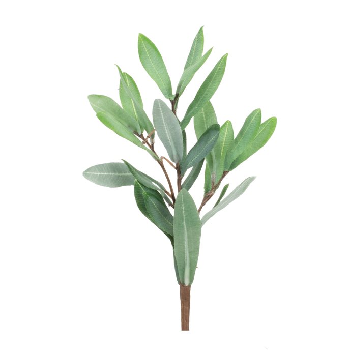 Olive Leaf Foliage Pick (Set of 12) Thumbnail