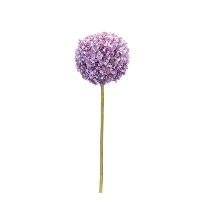 Puple Allium Floral Stem (Set of 6) Thumbnail