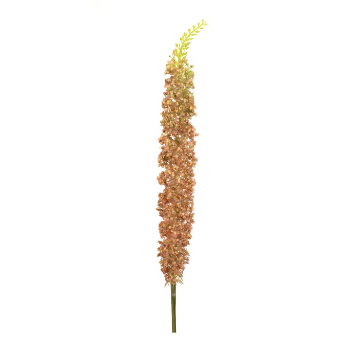 Orange Eremurus Floral Stem (Set of 2) Thumbnail