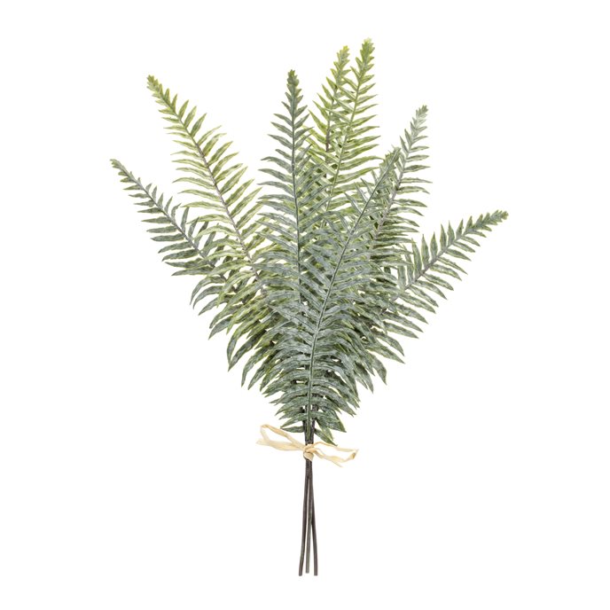 Fern Foliage Bundle (Set of 2) Thumbnail