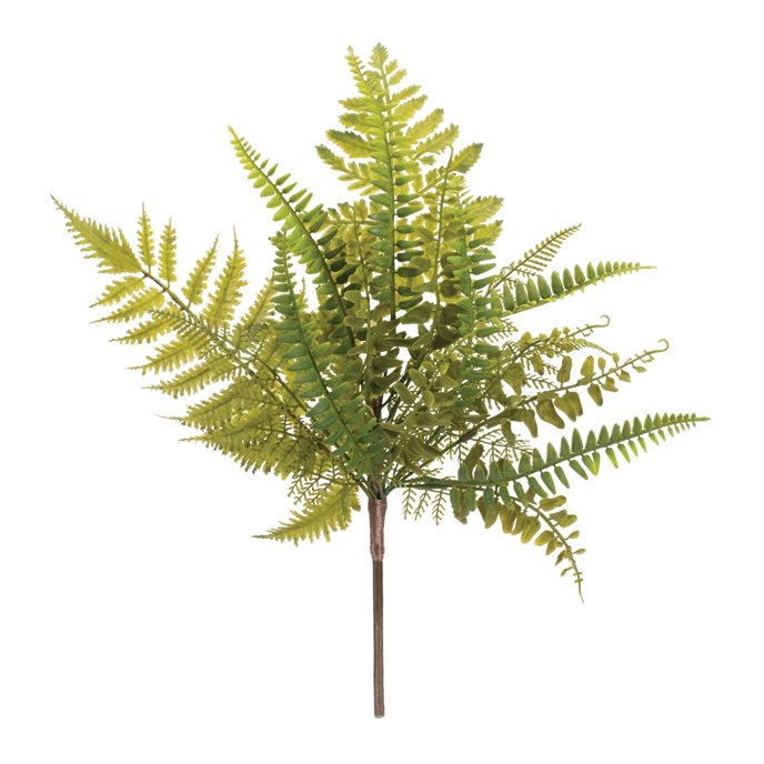 Mixed Fern Foliage Spray (Set of 6) Thumbnail